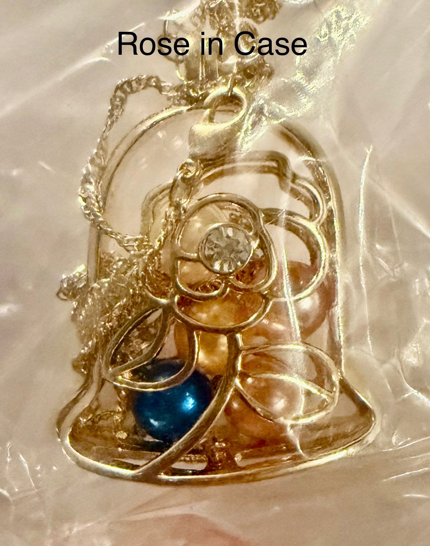 Cage Necklace - Enchanted