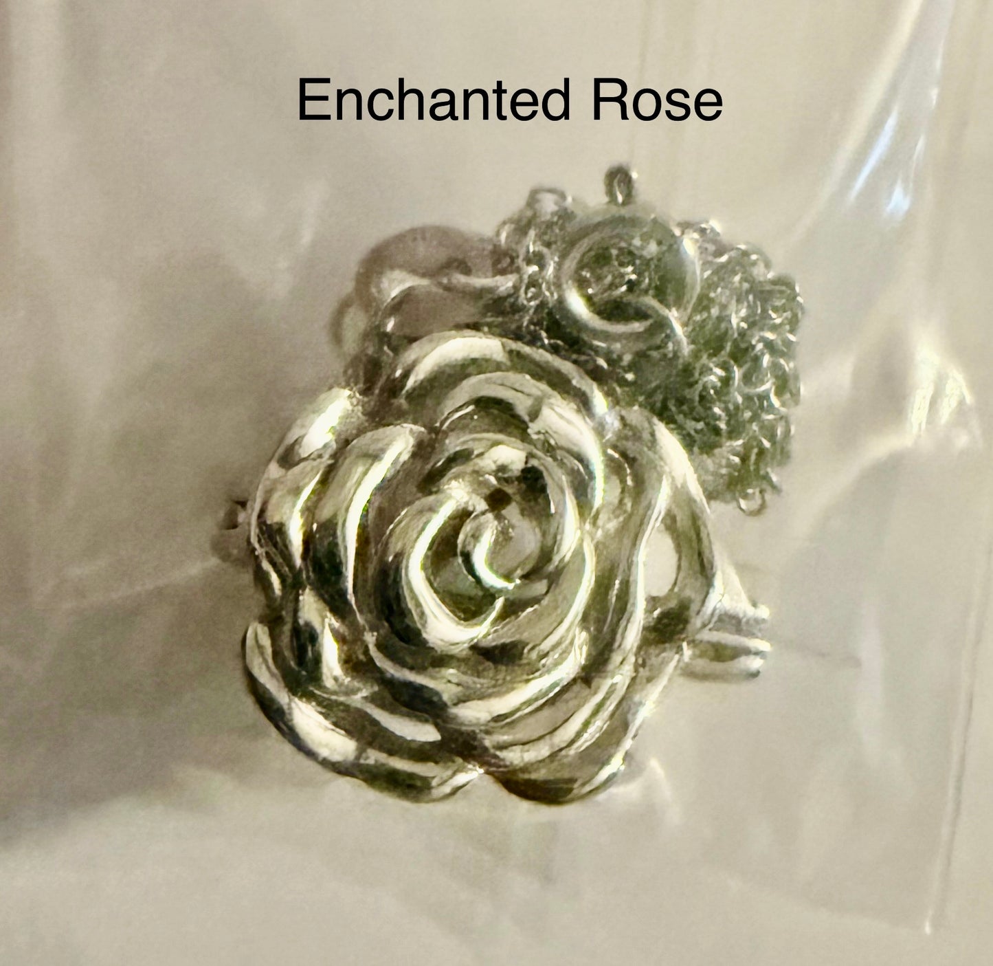 Sterling Silver Cage Necklace - Enchanted